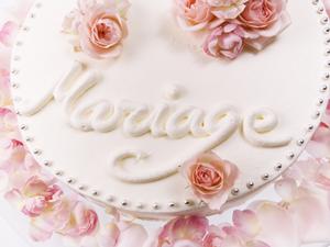 専門知識を持つスタッフがいるお店