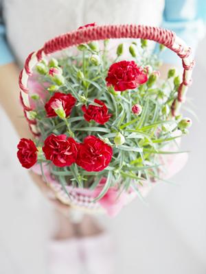 岡山の結婚相談所で婚活するには